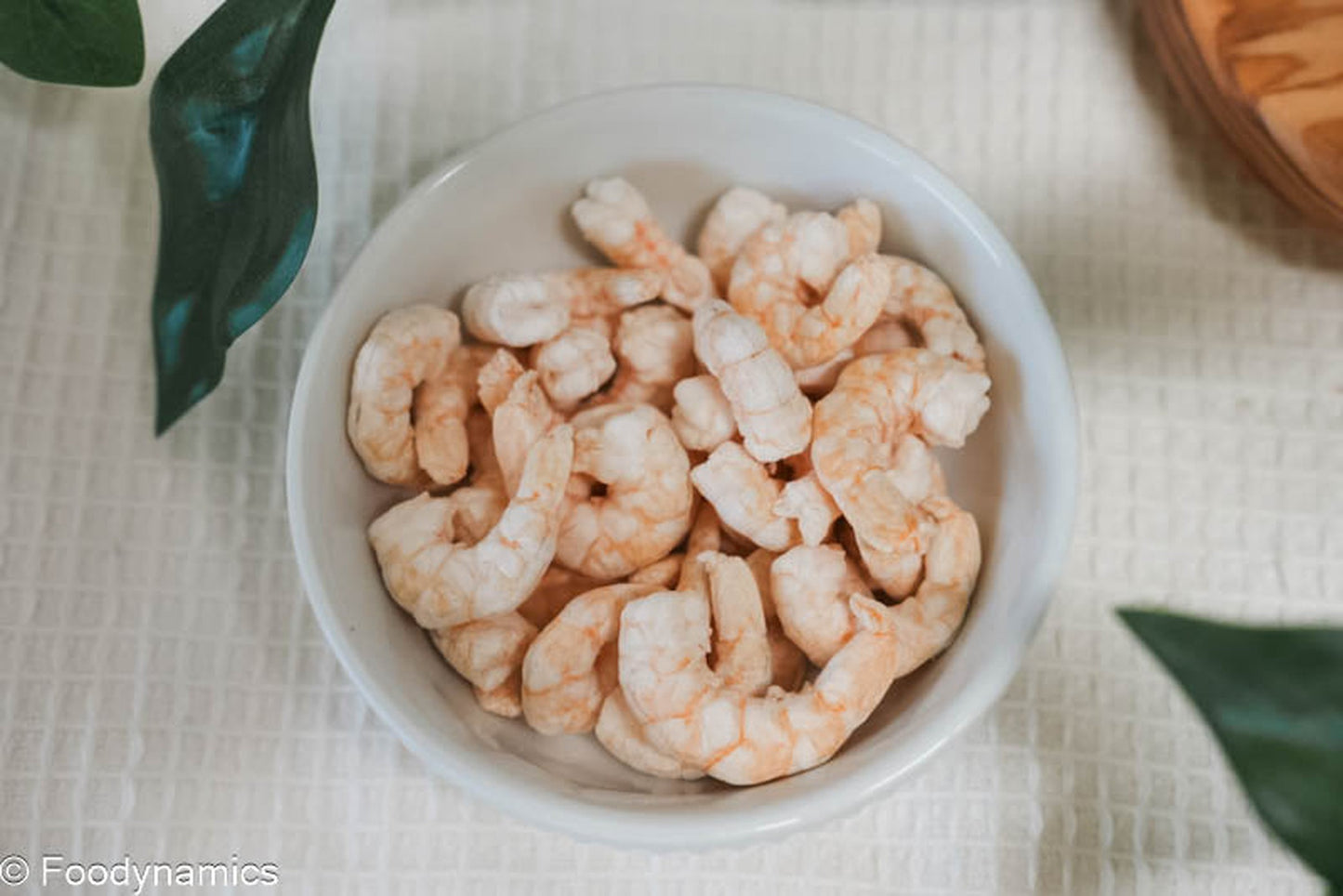 Shrimp Trainers - Freeze Dried