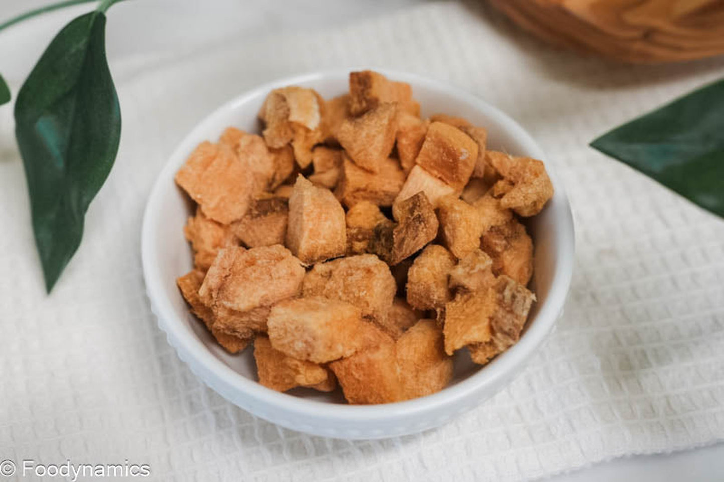 Salmon Bites - Freeze Dried