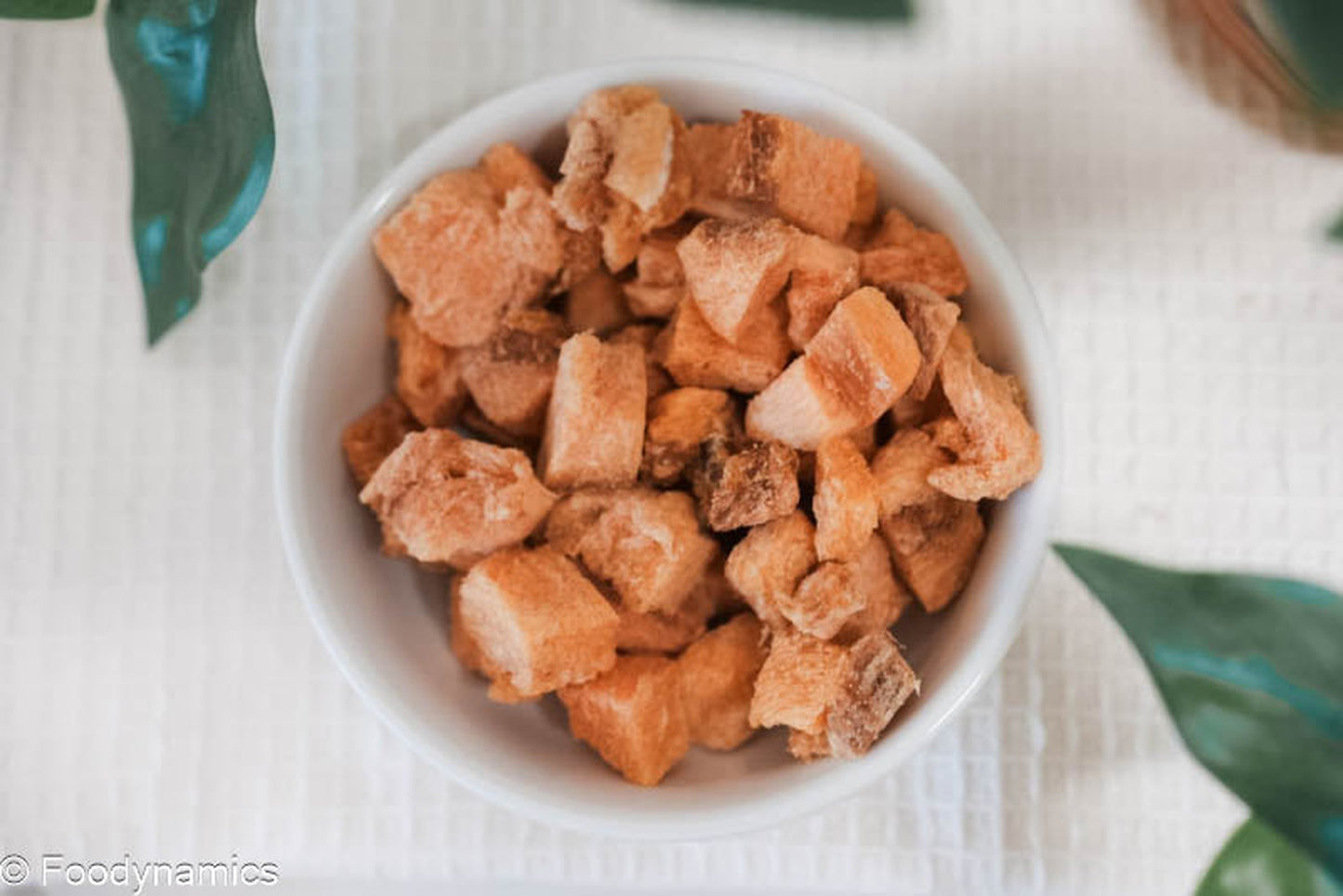 Salmon Bites - Freeze Dried