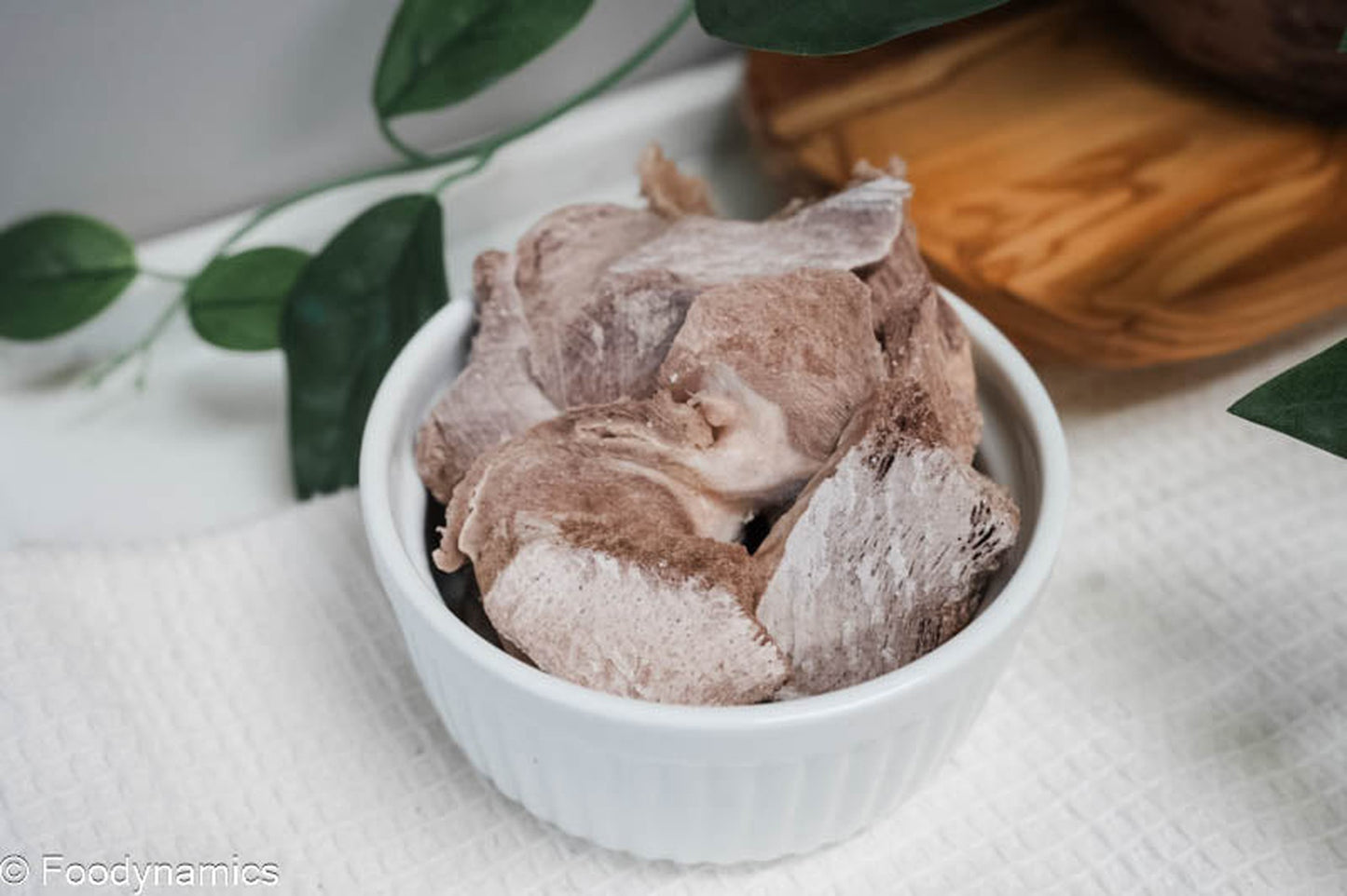 Turkey Gizzards Sliced Freeze-Dried