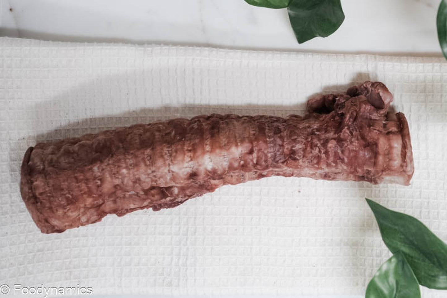 Beef Trachea Whole Freeze Dried