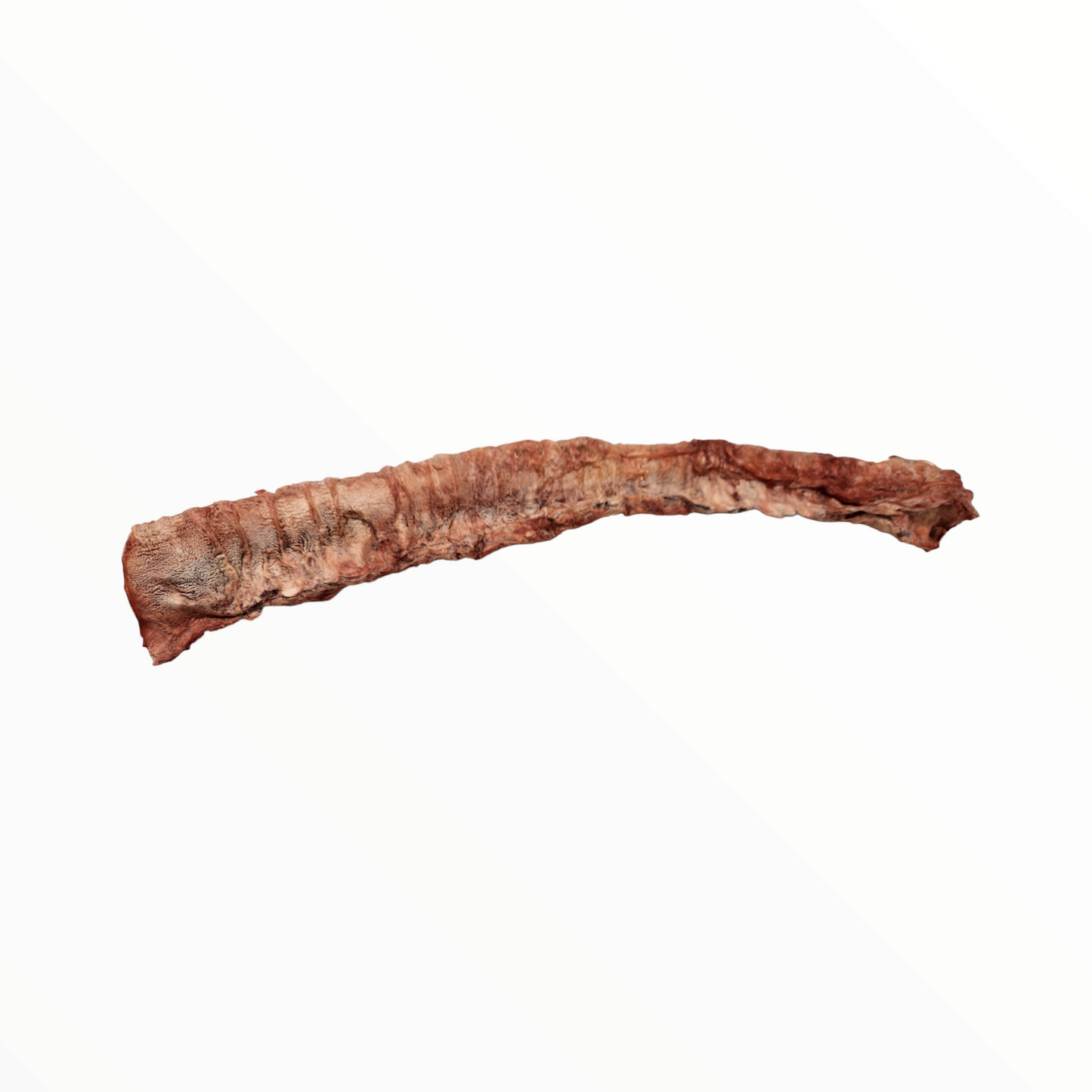 Beef Trachea Whole Freeze Dried