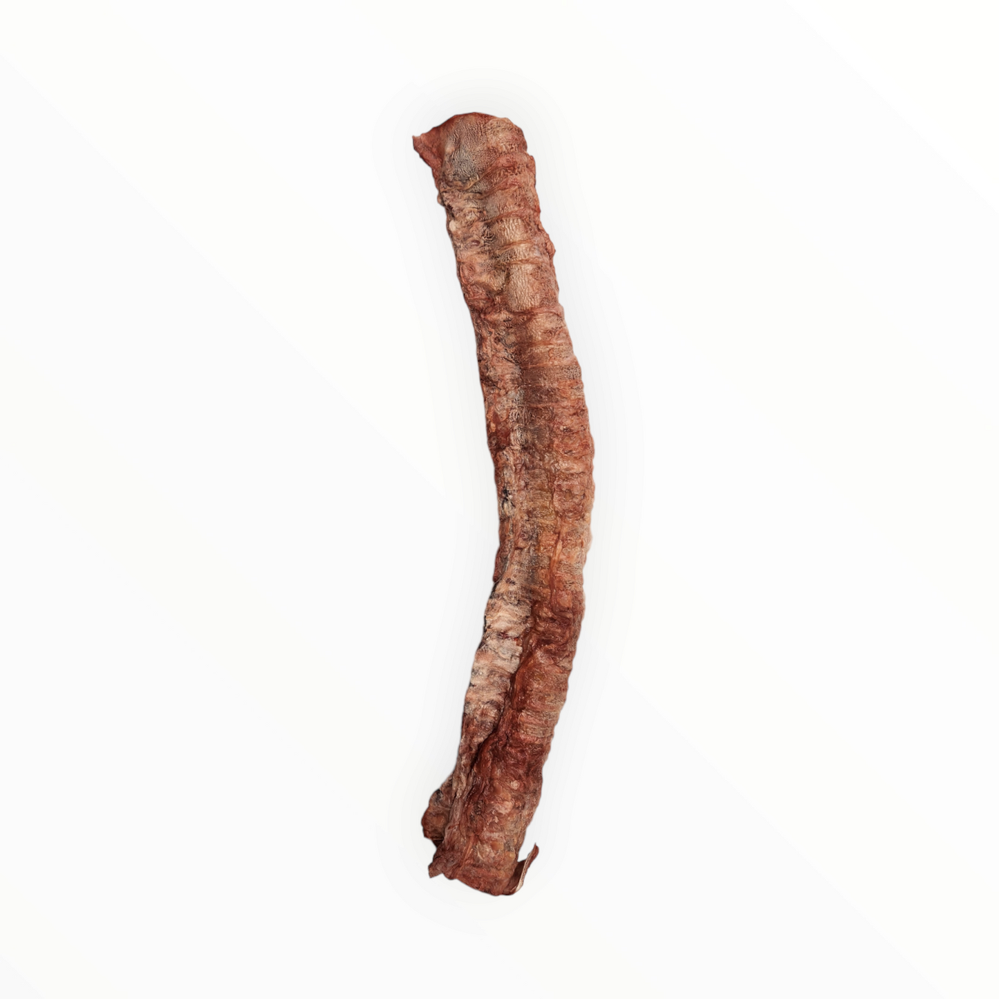 Beef Trachea Whole Freeze Dried