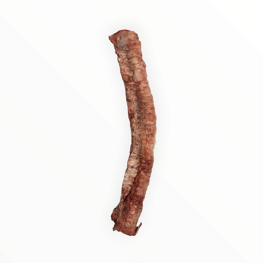 Beef Trachea Whole Freeze Dried