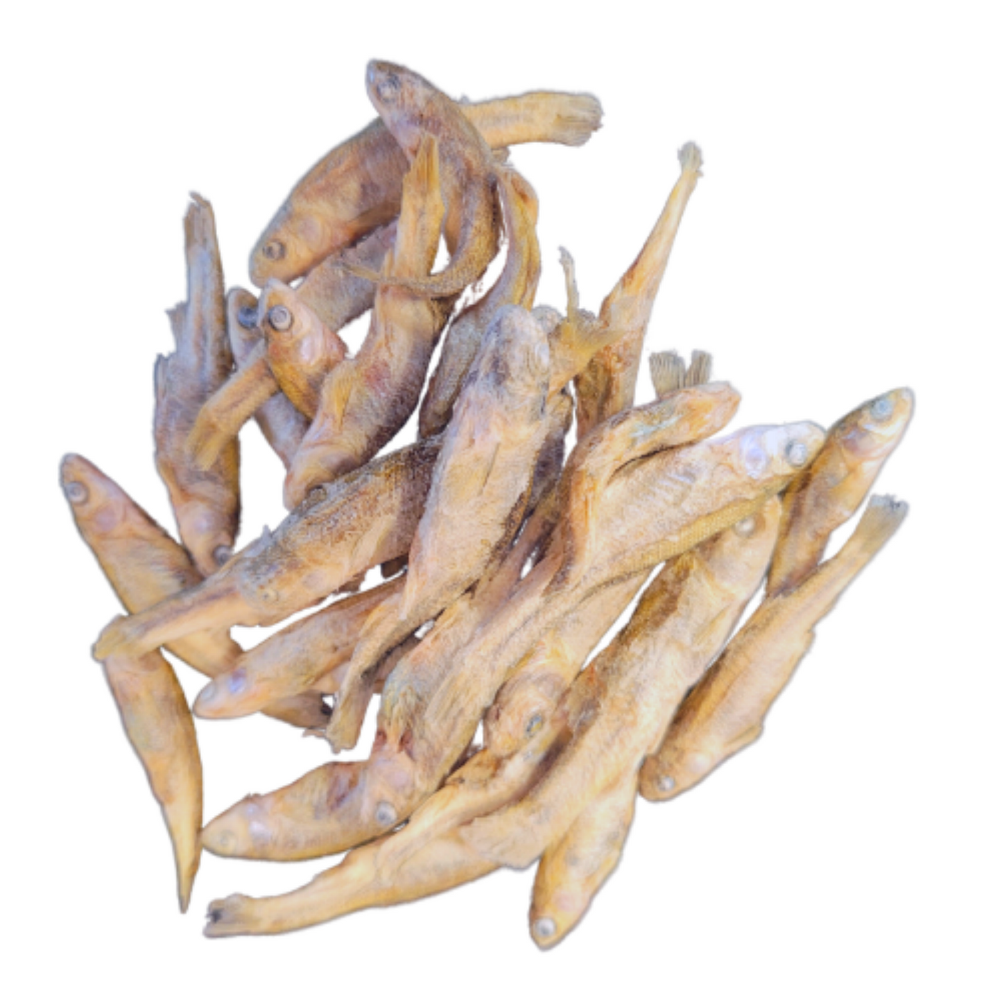 Minnows Freeze Dried 1oz