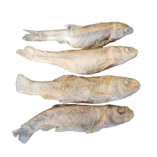Minnows Freeze Dried 1oz