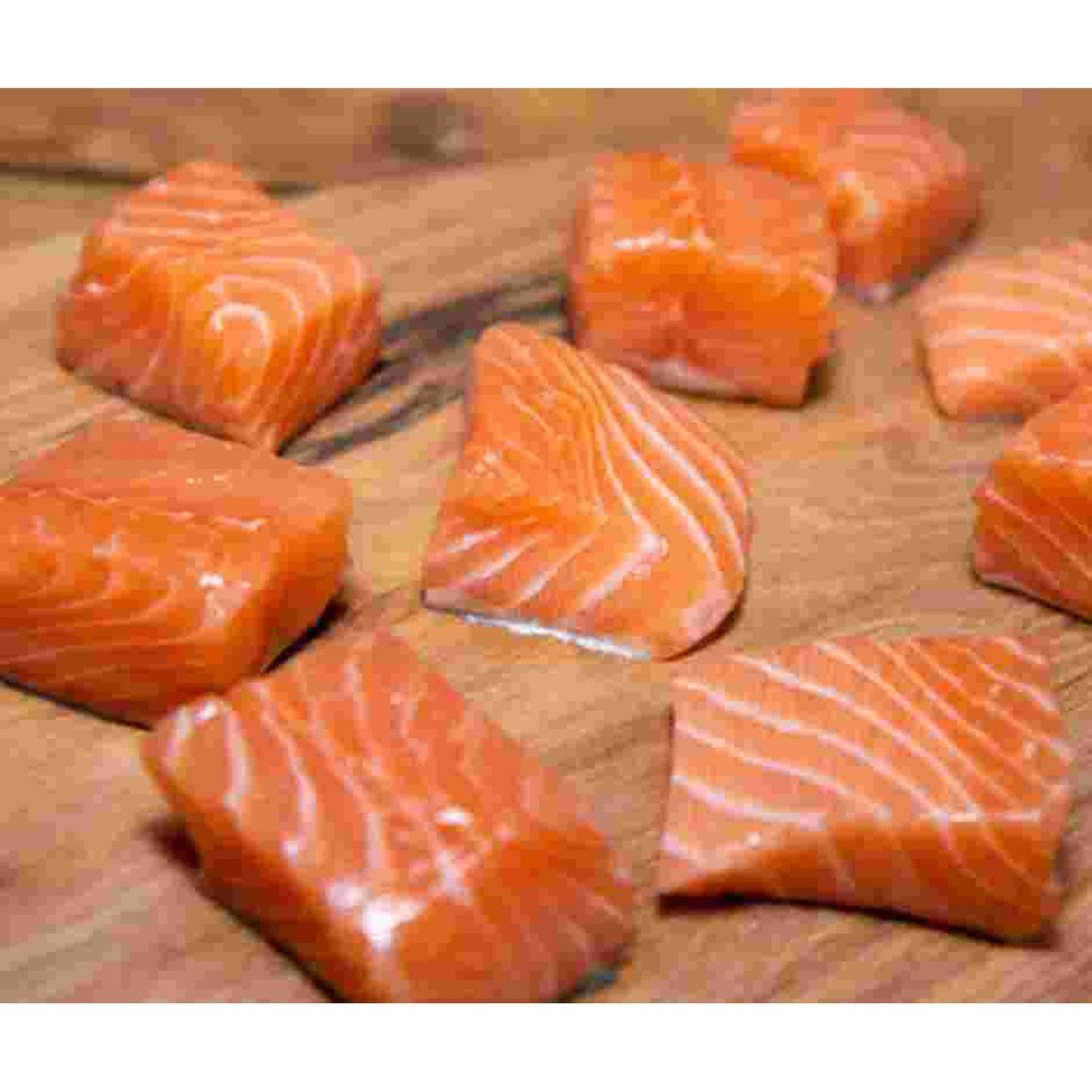 Salmon Bites - Freeze Dried